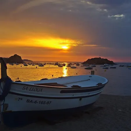 Lets Holidays Centric In